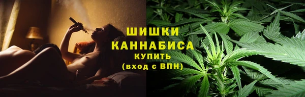 соль ск Кукмор