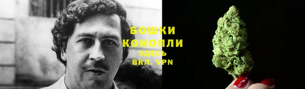 соль ск Кукмор