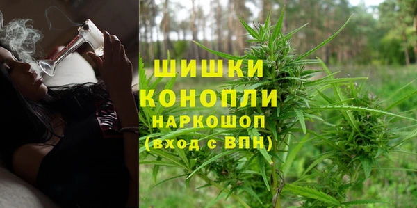 соль ск Кукмор