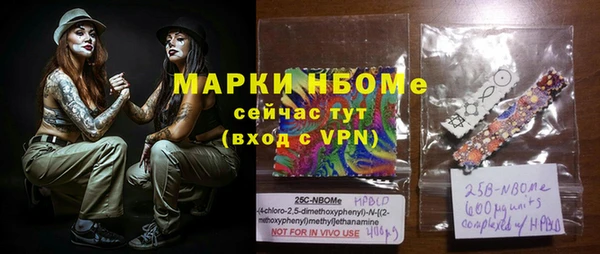 соль ск Кукмор