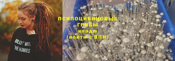 шишки Кулебаки